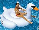 Weisser Schwan