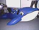 Blauwal