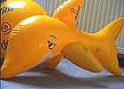 Delial-Delphin