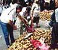 Basar